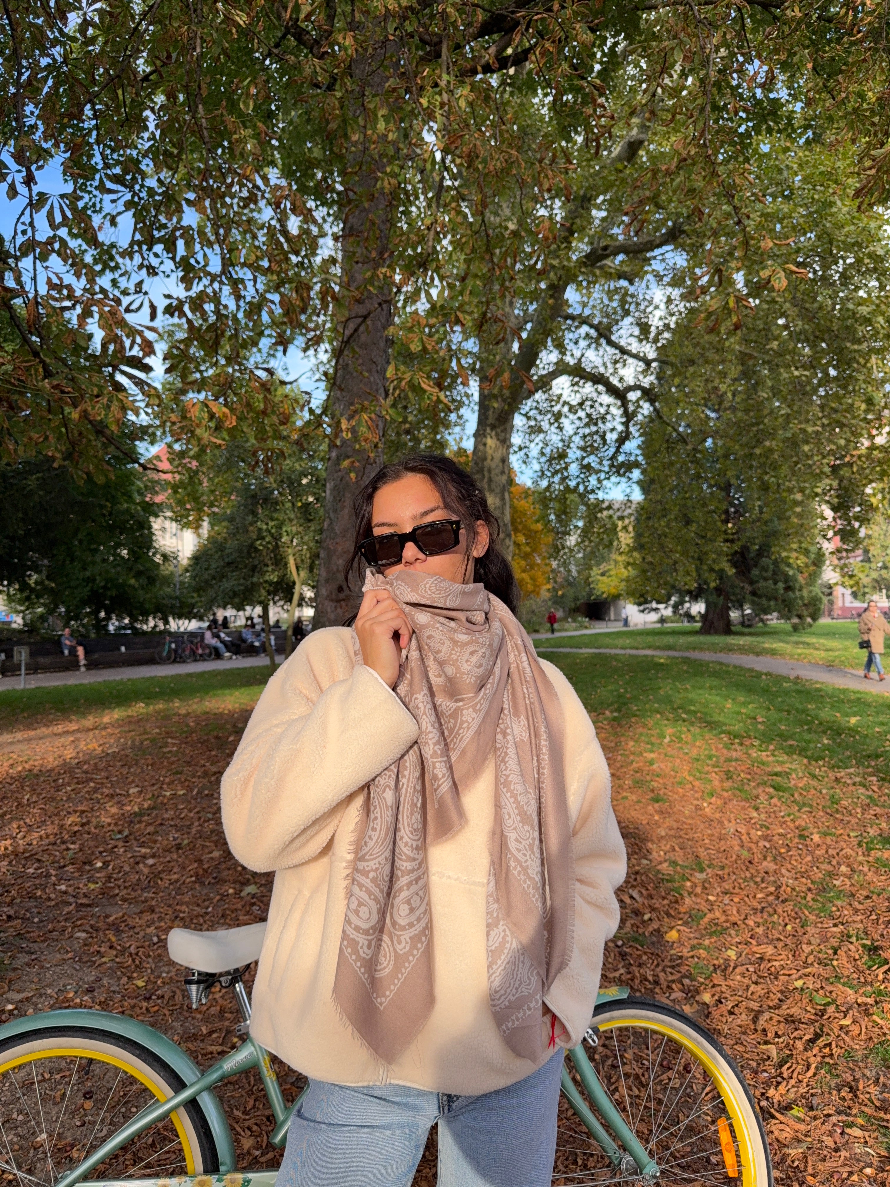 Écharpe BANDANA taupe